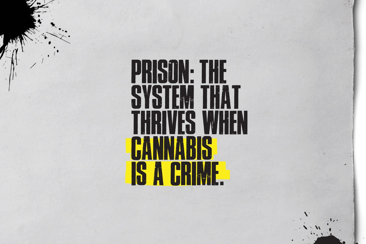Text artwork reading “Prison: the system that thrives when cannabis is a crime.”