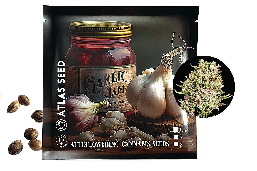 Atlas Seed Garlic Jam artwork with garlic, seeds and a cannabis flower inset.