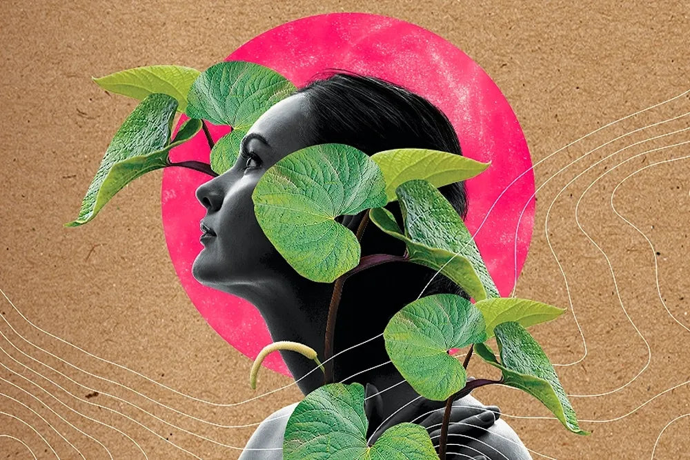 Story artwork: A profile portrait framed by green leaves and a bright pink circle.