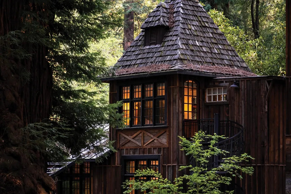 Story artwork: A shingled woodland cabin with warm light in its windows.