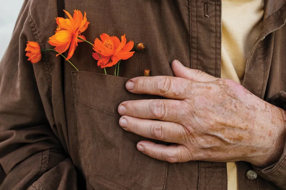 A hand rests against a brown shirt with orange flowers tucked into its pocket.