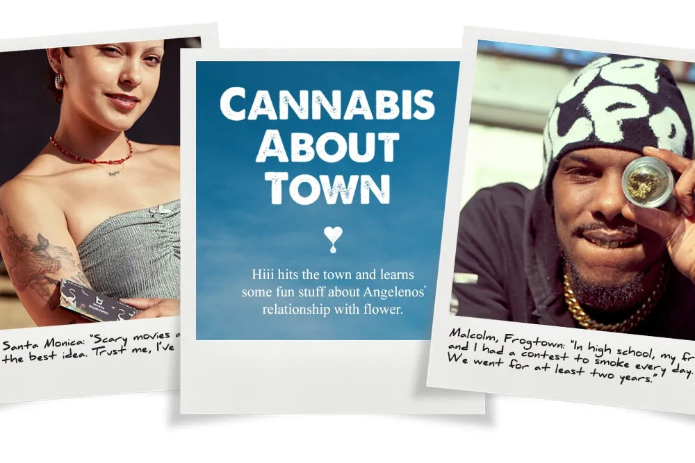 Cannabis About Town collage of instant-style street portraits and handwritten responses.