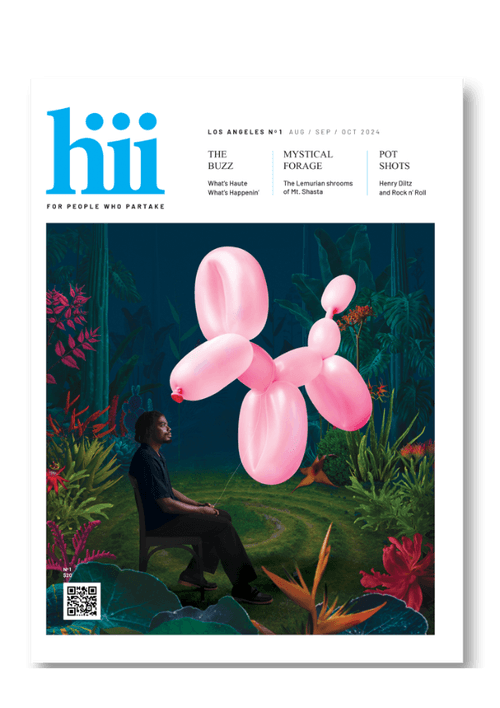 The Genesis Issue of Hiii with a pink balloon dog on the cover, shown at an angle.